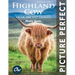 Highland Cow: Picture Perfect Photo Book