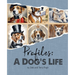Profiles: Barking Up the Right Tree: History, Fun-Facts, and Hounds