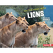 On the Hunt with Lions