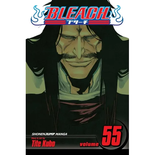 Bleach, Vol. 55: The Blood Warfare