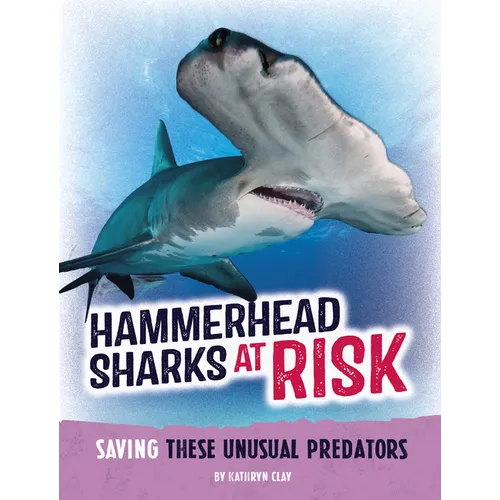 Hammerhead Sharks at Risk: Saving These Unusual Predators