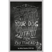 How to Make your Dog COME Without Being a BUTT-HEAD