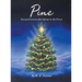 Pine: Seasonal Lessons that Sprout in the Forest