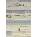 Slow Disturbance: Infrastructural Mediation on the Settler Colonial Resource Frontier
