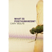 What Is Posthumanism?: Volume 8