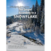 The Gospel According to a Snowflake