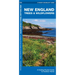 New England Trees & Wildflowers: A Folding Pocket Guide to Familiar Plants