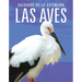 Las Aves: Salvados de la Extinción