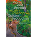 Plants and Animals in Latin American Cultural Production