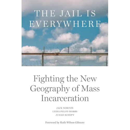 The Jail Is Everywhere: Fighting the New Geography of Mass Incarceration