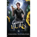 Quiet Burn