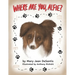 Where Are You, Alfie?