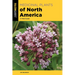 Medicinal Plants of North America: A Field Guide