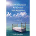 Dream Incubation for Greater Self-Awareness: A Handbook