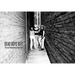 Dead Boys 1977: The Lost Photographs