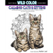 Calming Cats & Kittens: Adult Coloring Book