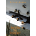 How Do You Start Keeping Bees?