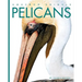 Pelicans