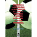 Incidencia de la Lateralidad del Ojo Director En La Toma de Decisiones de Jóvenes Futbolistas de Un Club Profesional