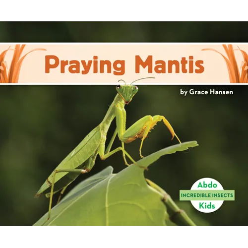 Praying Mantis