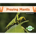 Praying Mantis