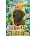 McGregor & The Embeebee Forest