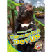 Tasmanian Devils