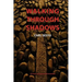Walking Through Shadows: El Camino de Santiago de Compostela
