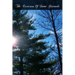 The Exercises Of Saint Gertrude: Virgin And Abbess Of The Order Of St. Benedict