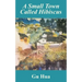 A Small Town Called Hibiscus
