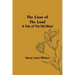 The Lions of the Lord: A Tale of the Old West