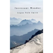 Incessant Wonder