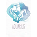 Aquarius: Constellation SchoolTimetable, Aquarius Zodiac sign Design, 6"x9", 120 pages SchoolTimetable