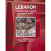 Lebanon: Doing Business, Investing in Lebanon Guide Volume 1 Strategic, Practical Information, Regulations, Contacts
