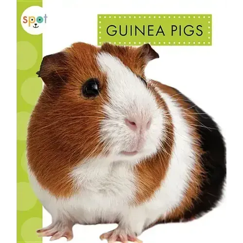 Guinea Pigs