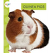 Guinea Pigs