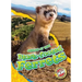Black-Footed Ferrets