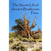 The Secret Life of Ancient Bristlecone Pines: Book One of the Secret Life Series