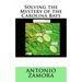Solving the Mystery of the Carolina Bays