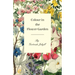 Colour in the Flower Garden