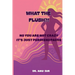 What the Flush?!: No You Are Not Crazy It's Just Perimenopause