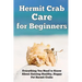 Hermit Crab Care for Beginners: Everything You Need to Know About Raising Healthy, Happy Pet Hermit Crabs.