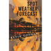 Spot Weather Forecast