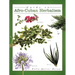 Guide to Afro-Cuban Herbalism