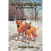 The Story of Lilly & Lou: Based on a True Story