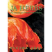 JA Herbs: 40 Jamaican Medicinal Herbs