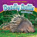 Deadly Quills: Gross Porcupines