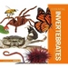 Essential Invertebrates