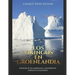 Los vikingos en Groenlandia: la historia de las expediciones y asentamientos nórdicos en Groenlandia