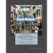Study Guide Student Workbook for The Spiderwick Chronicles The Field Guide: Black Student Workbooks